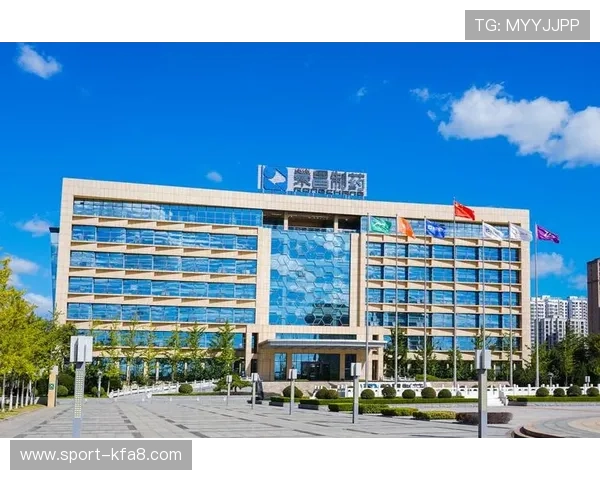 K8凯发VIP客户服务支持体系详解全天候在线帮助解决玩家疑问