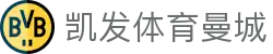凯发体育曼城 | 凯发电脑版官网_凯发娱乐官网欢迎您